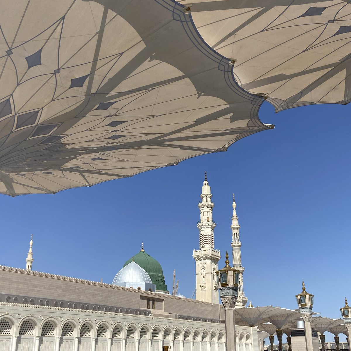 esra🪽 tweet media