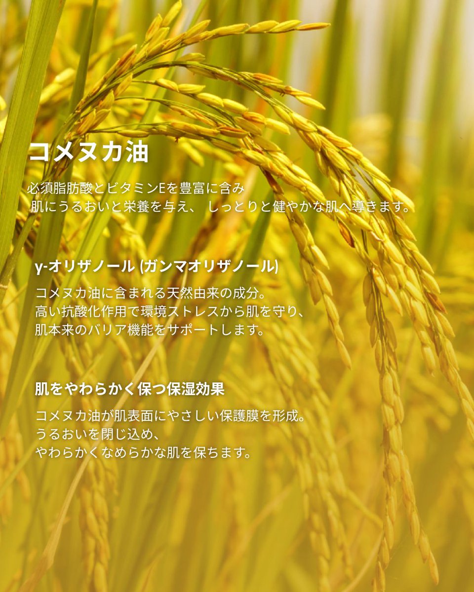 THANN Japan official tweet media