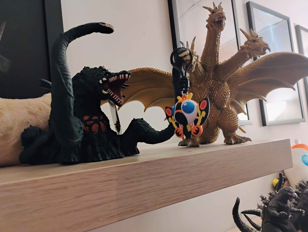 Cat Moth tweet media