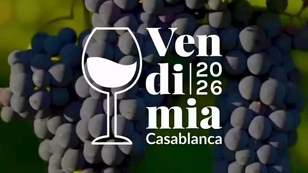 Mostos y Destilados tweet media