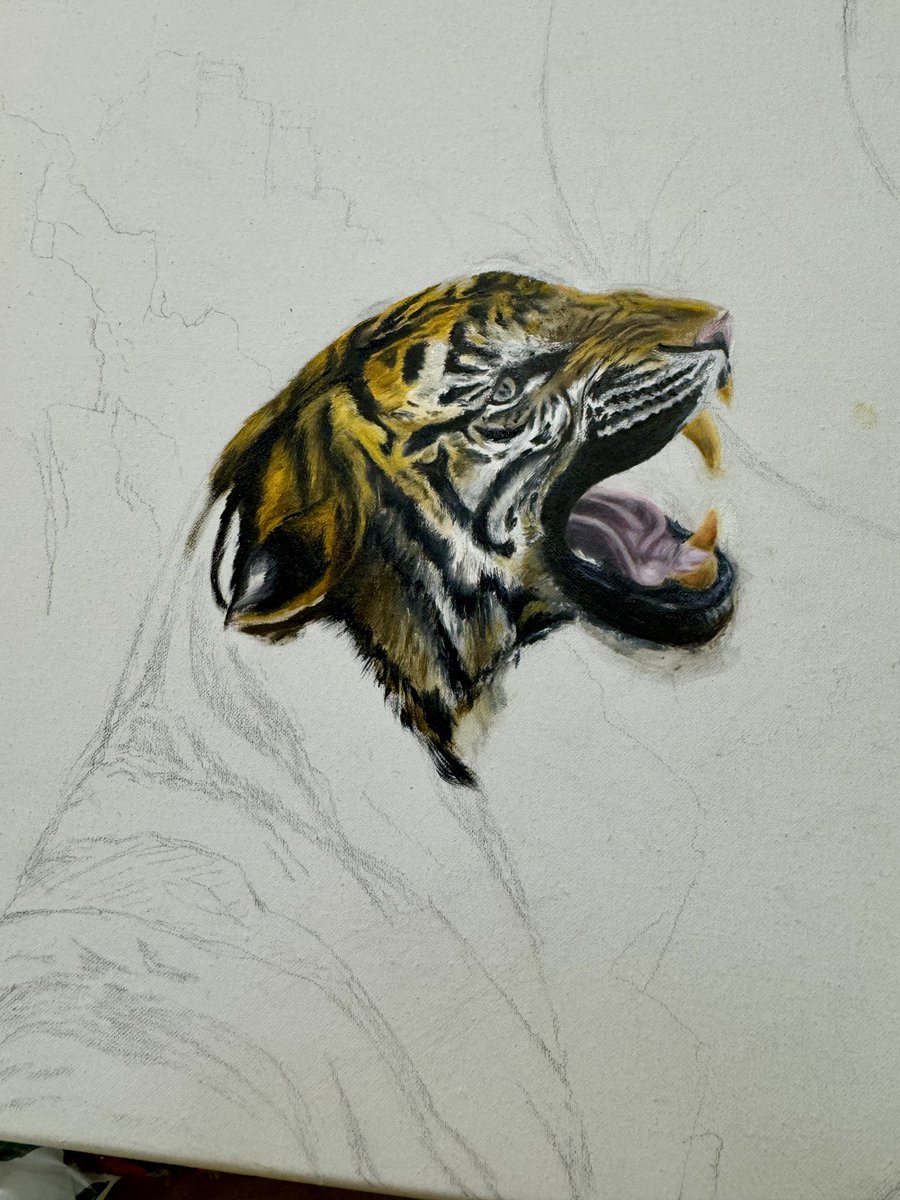 𝔖𝔱𝔢𝔩𝔩𝔞 tweet media