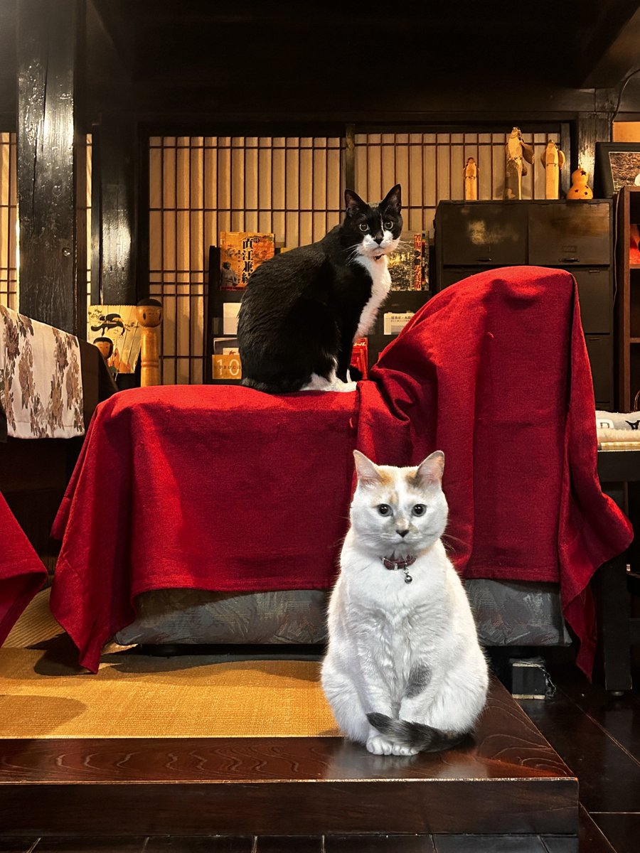 女将兼湯守@西屋旅館 tweet media