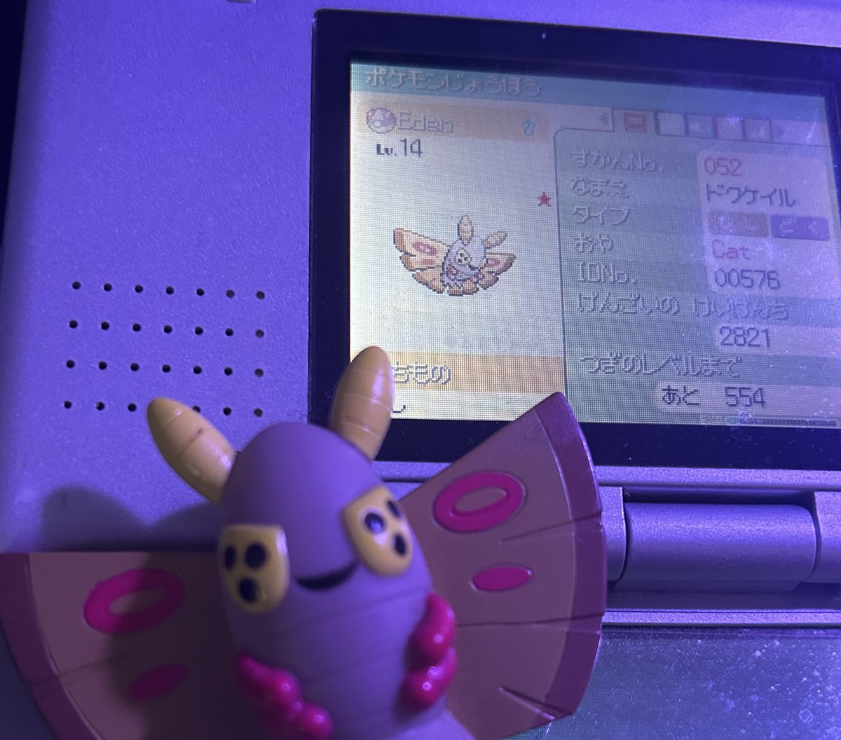 Shiny Catherine tweet media