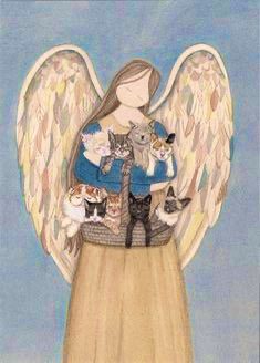 "Mad Cat" Cattis tweet media