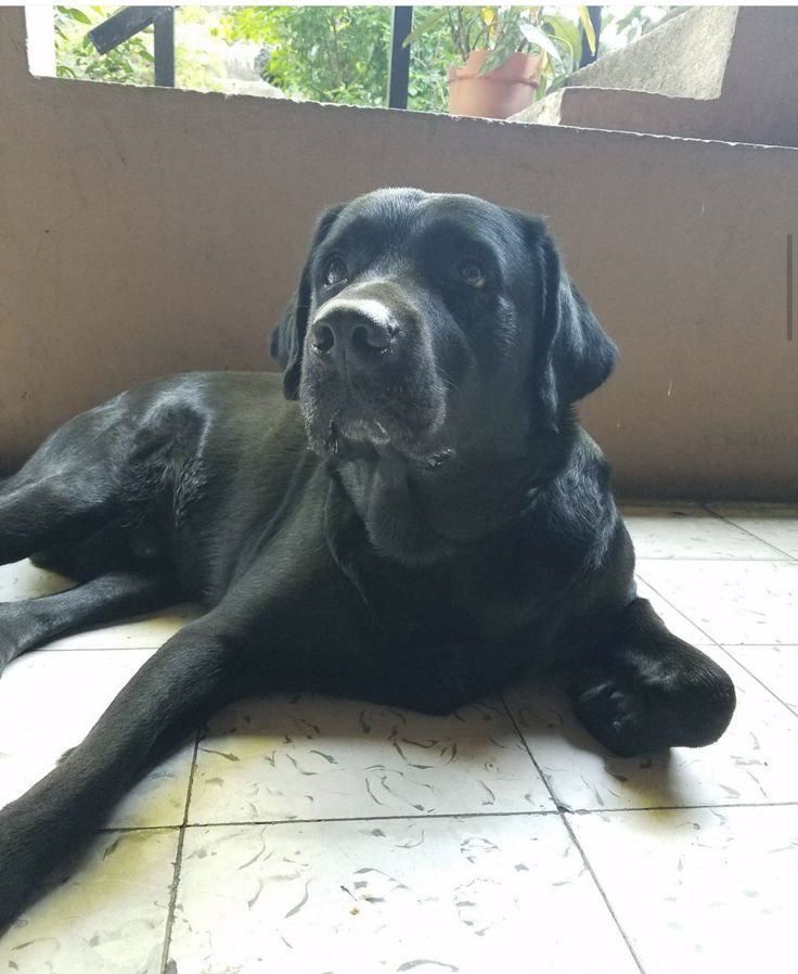 Marce Amaya tweet media