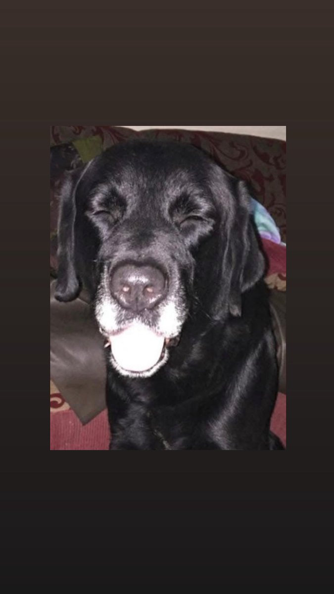 Marce Amaya tweet media