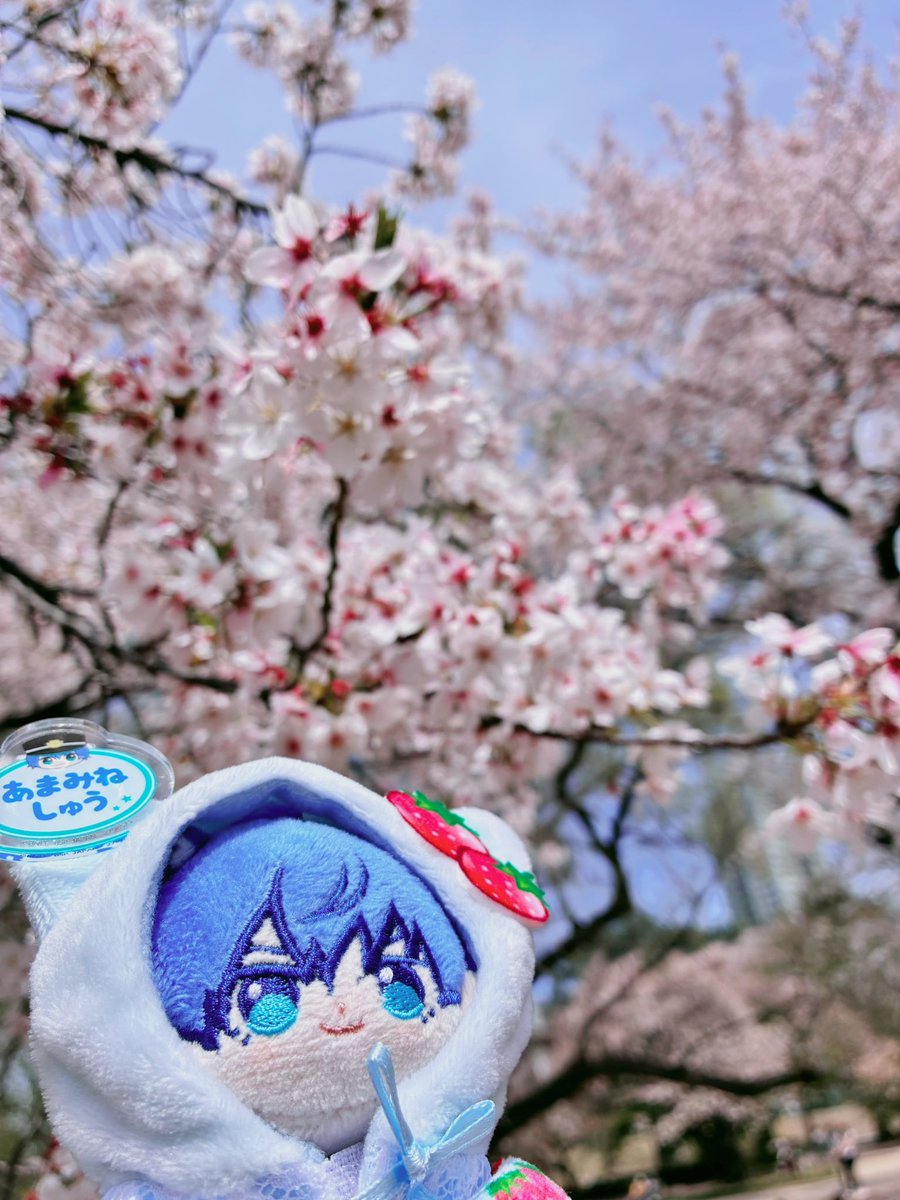 なずな tweet media