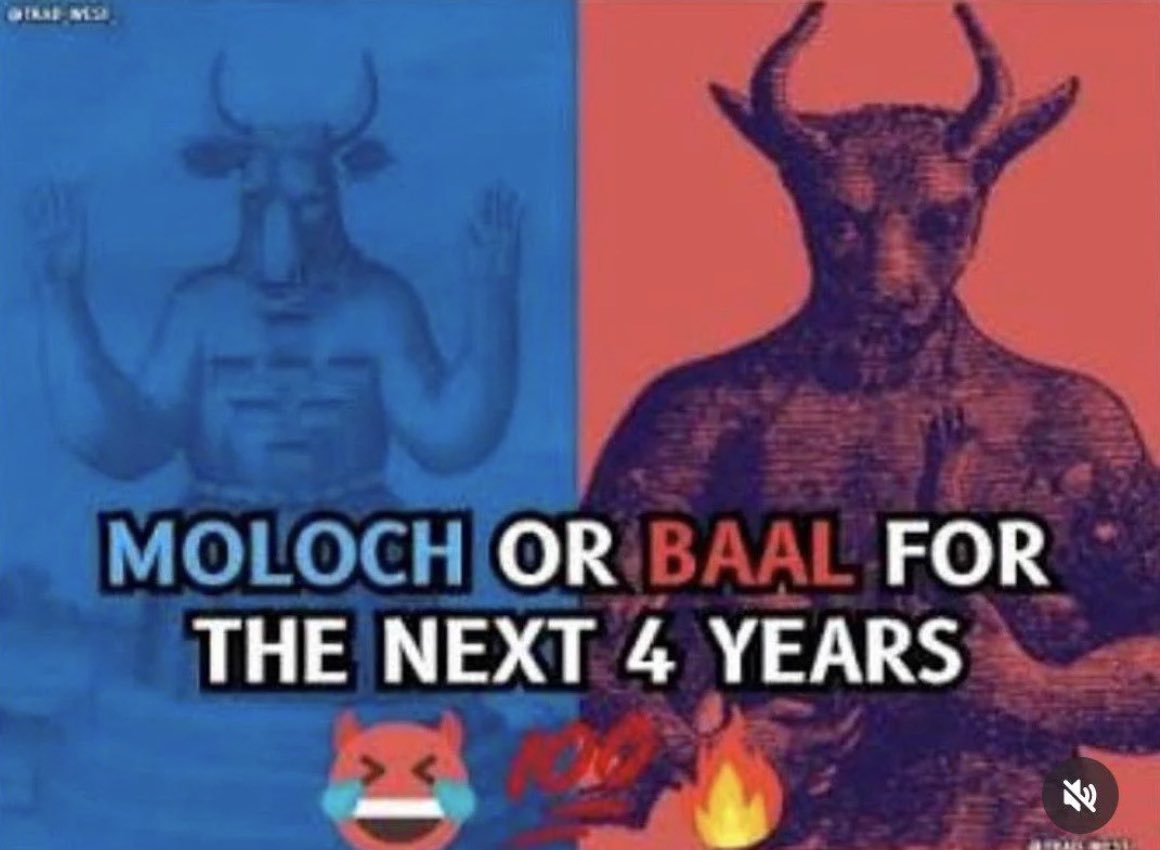 rami🌵 tweet media