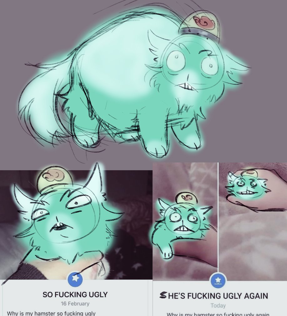 kittem (the joyous meower!) tweet media