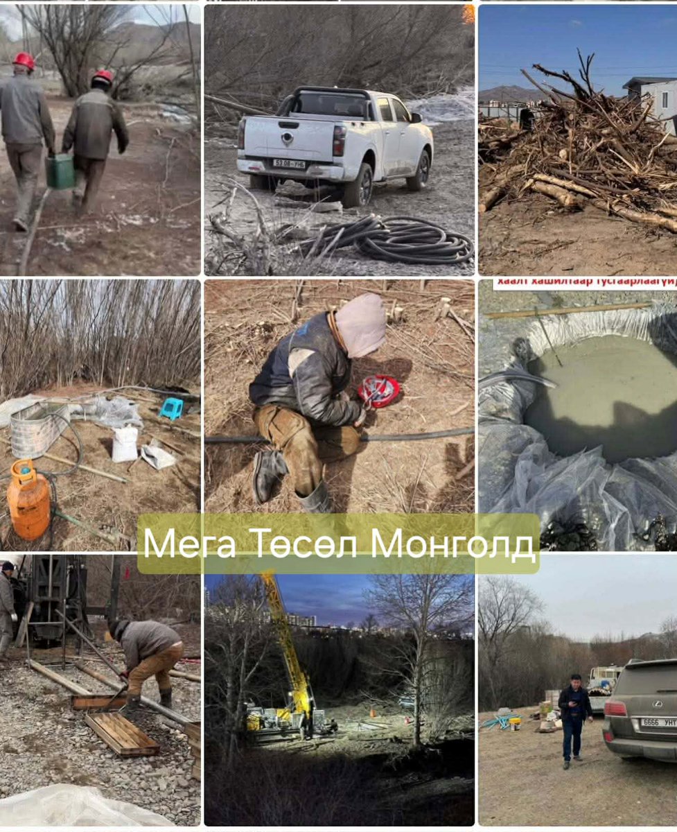 Хариад tweet media