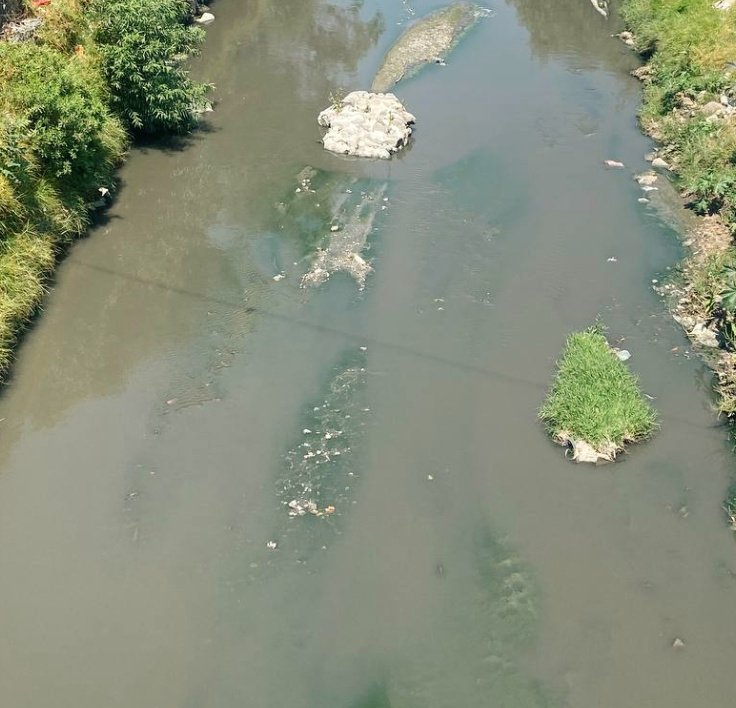 Defensa Colectiva del Agua en Puebla tweet media