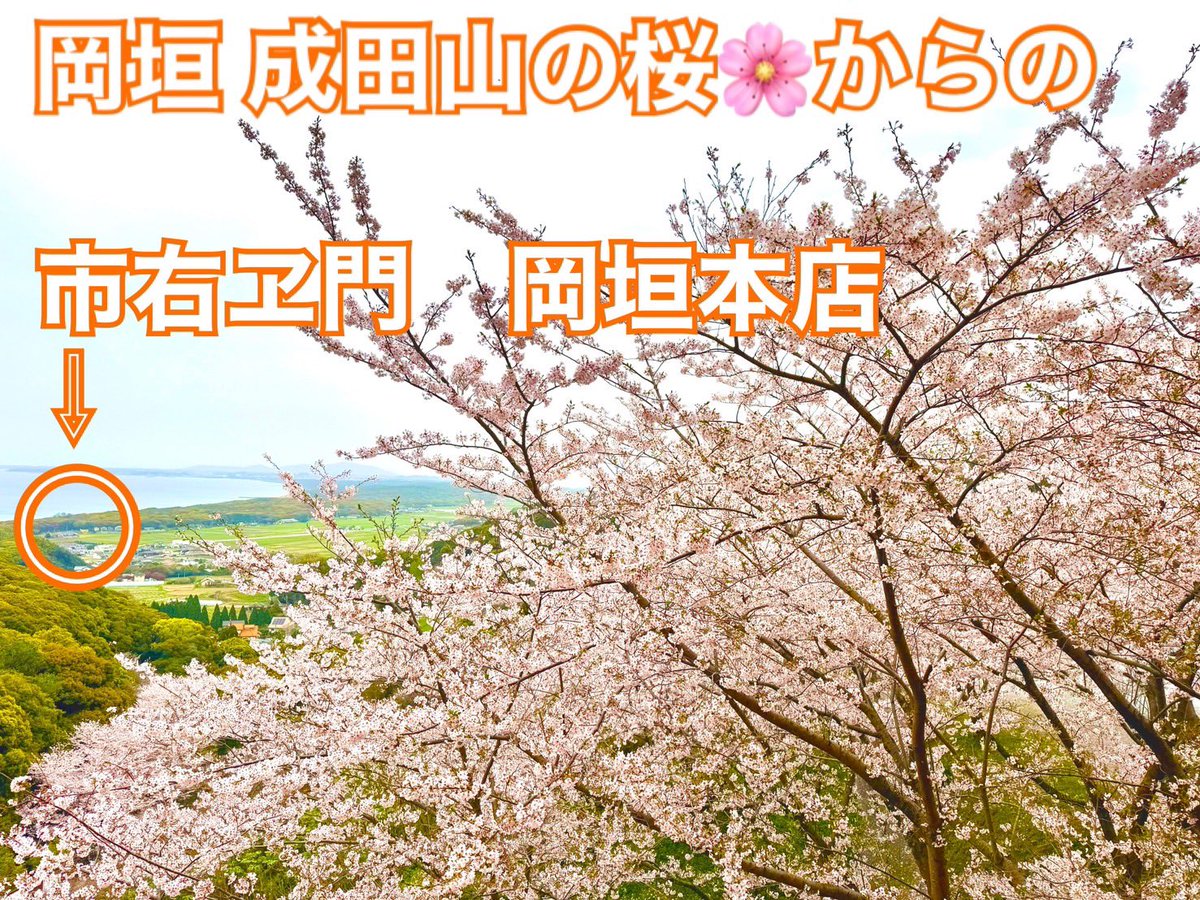 ichiemonweb's tweet photo. 店休日にサンリーアイで
お弁当を購入し、岡垣成田山へ
お花見へ！
桜がとても綺麗でした☺️

 #市右ヱ門 #岡垣町 #遠賀町 #お花見 #成田山 https://t.co/mXCwh24Zky