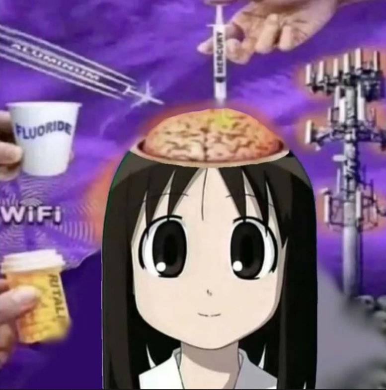 TOMATE 🍅 tweet media