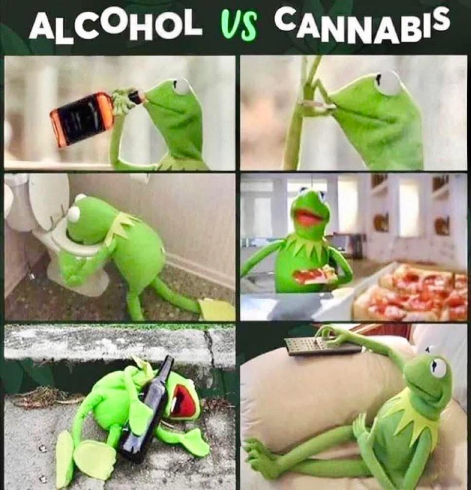 STONERS R US 🍃 tweet media