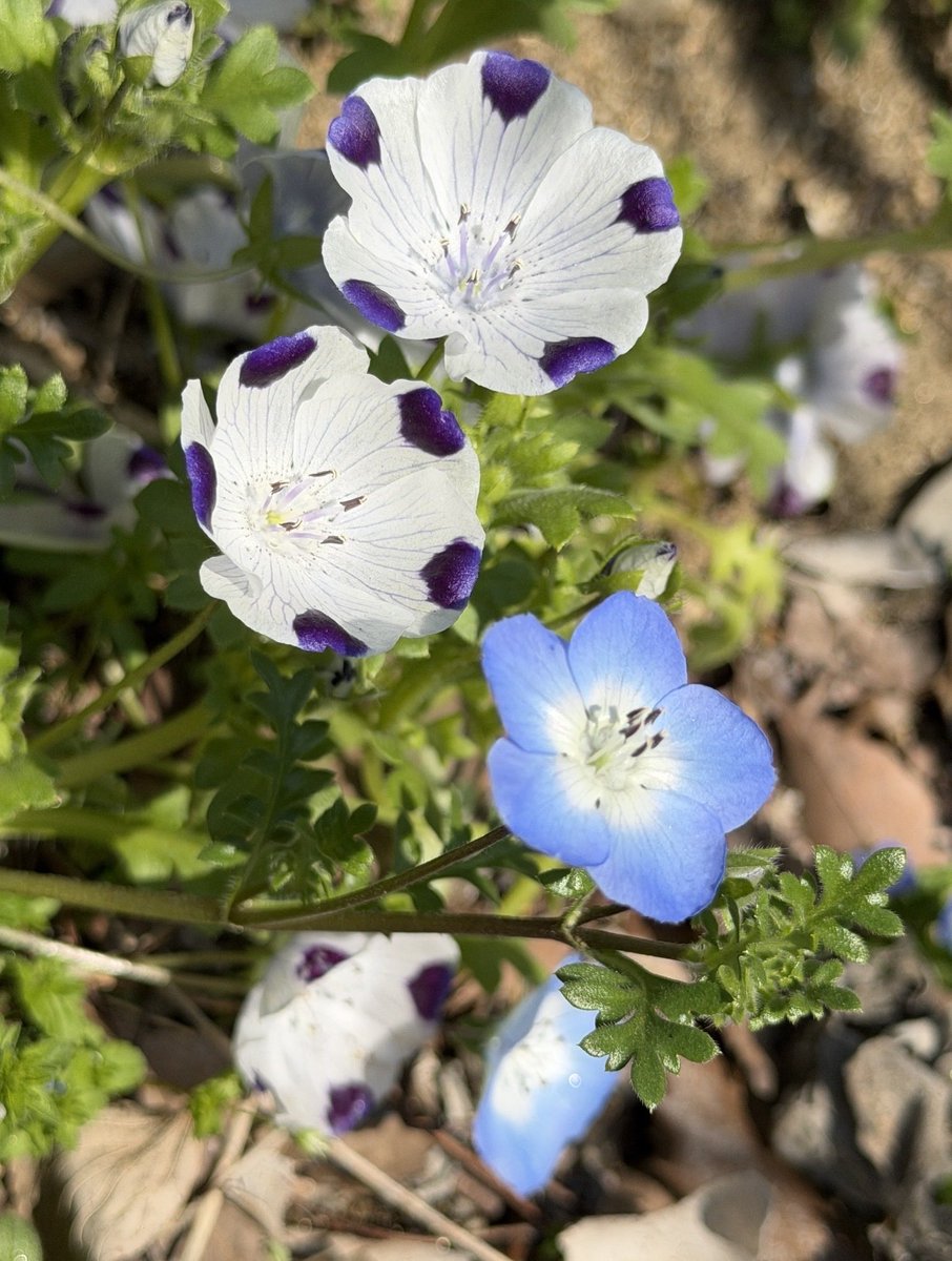 takumi.ใใผใใ tweet media