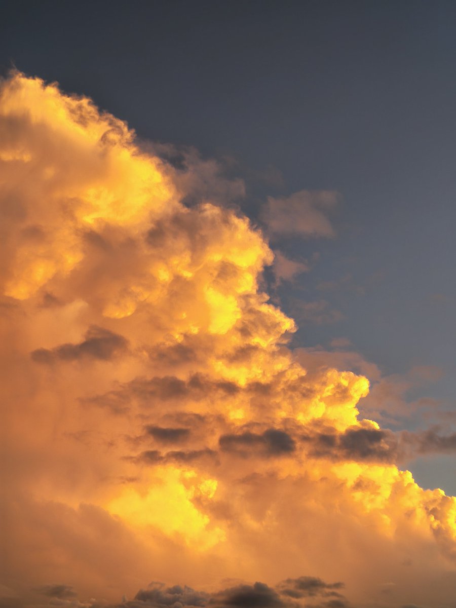 𝑮𝒆𝒐𝒓𝒈𝒆𝒕𝒕𝒆 🍂🖤 tweet media