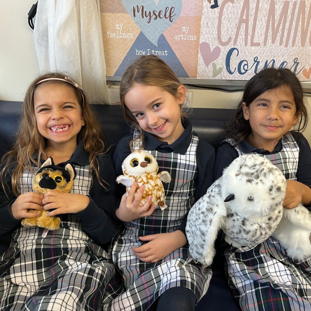 Kingsway College School tweet media