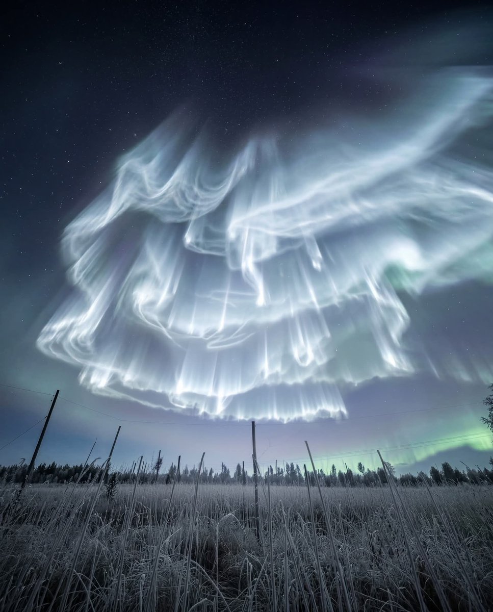 Physics-astronomy tweet media