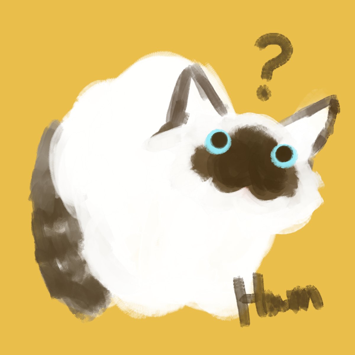 ハムぞー🐸あわいの市_5/2 tweet media