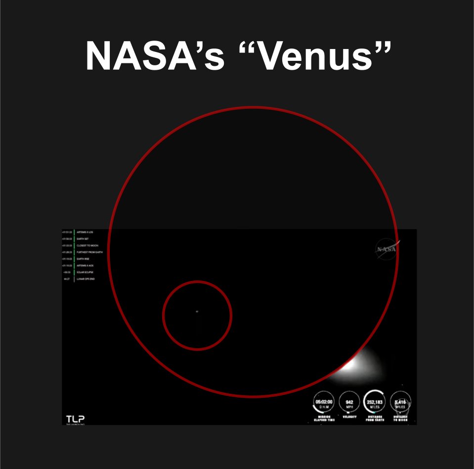 Tasteless Opinion tweet media