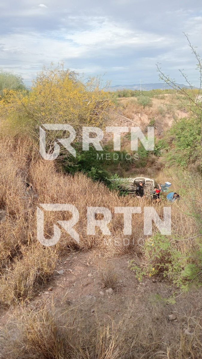 Rosa Lilia Torres- Noticias tweet media