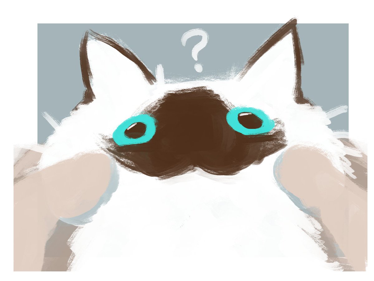 ハムぞー🐸あわいの市_5/2 tweet media