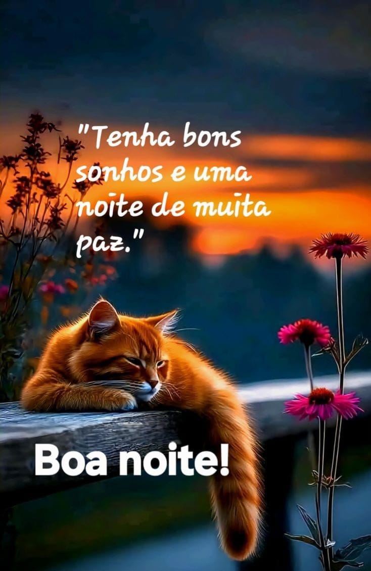 Mikayla ✨⭒ tweet media