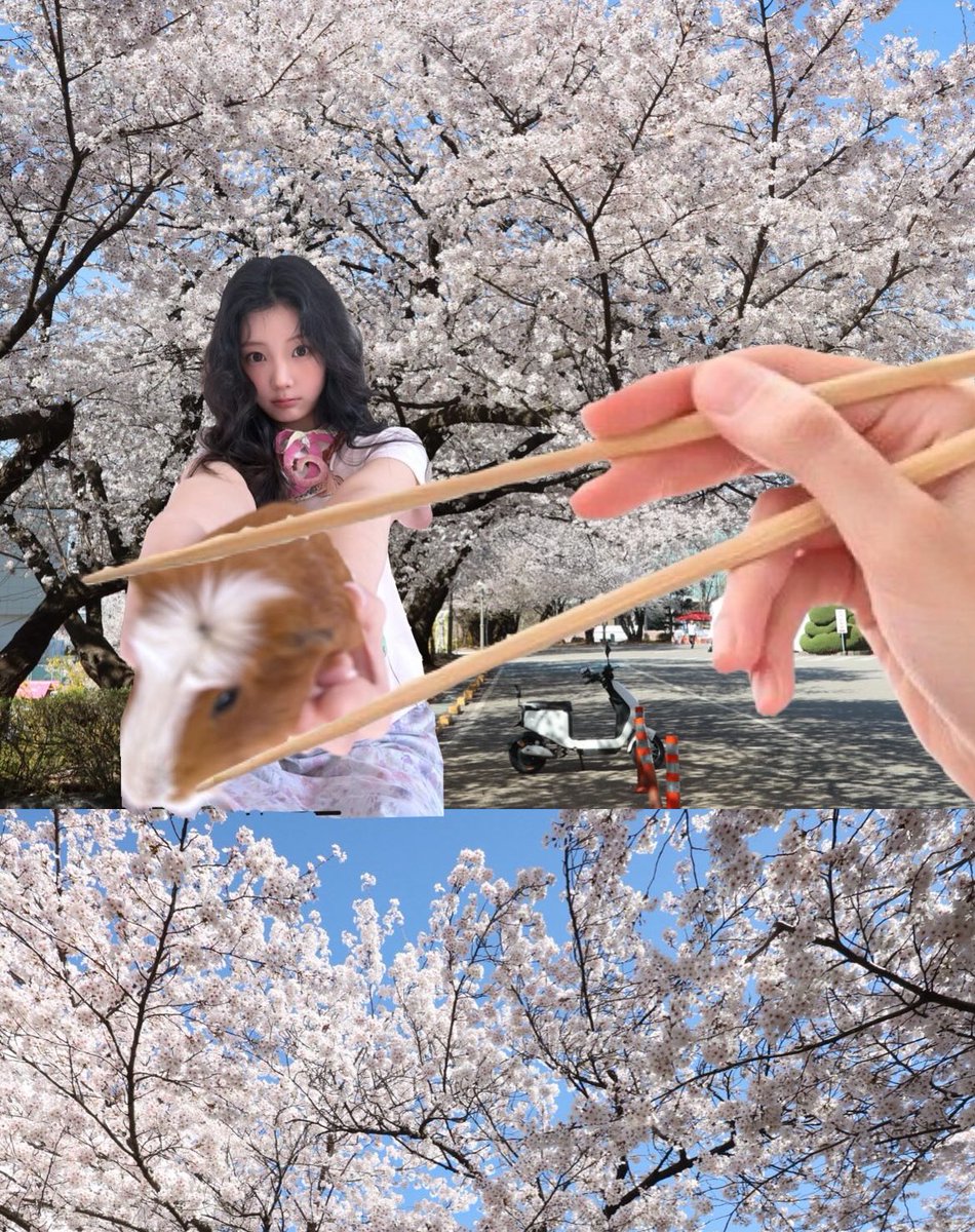 옹옹이 tweet media