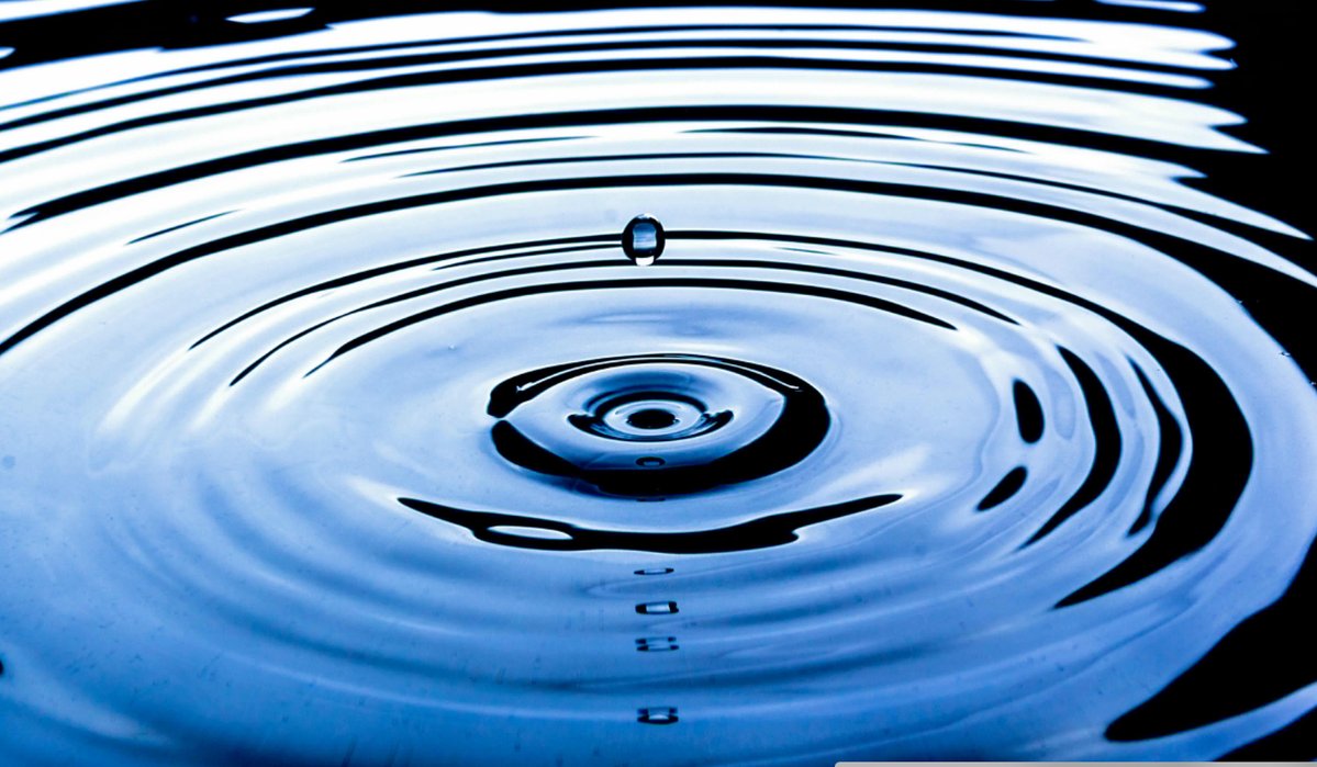 Mr. Fam | לִמֻּדַי tweet media