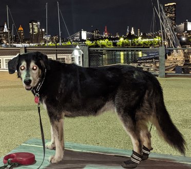 Keith Olbermann tweet media