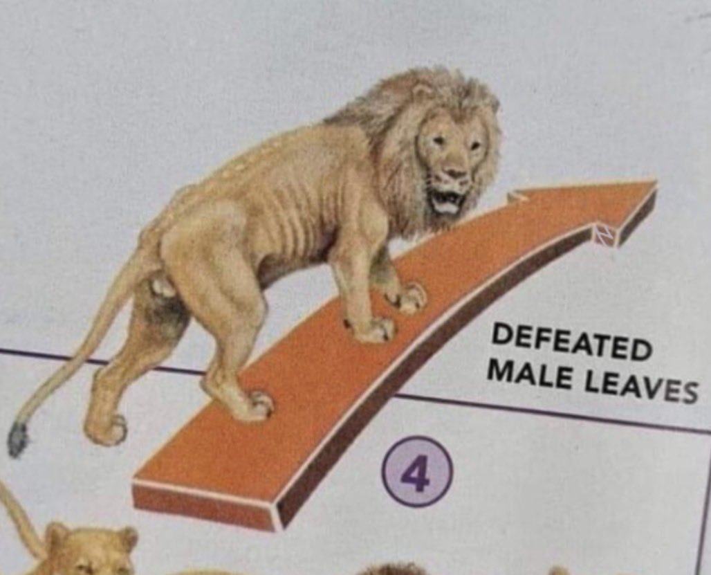 American Crusade tweet media