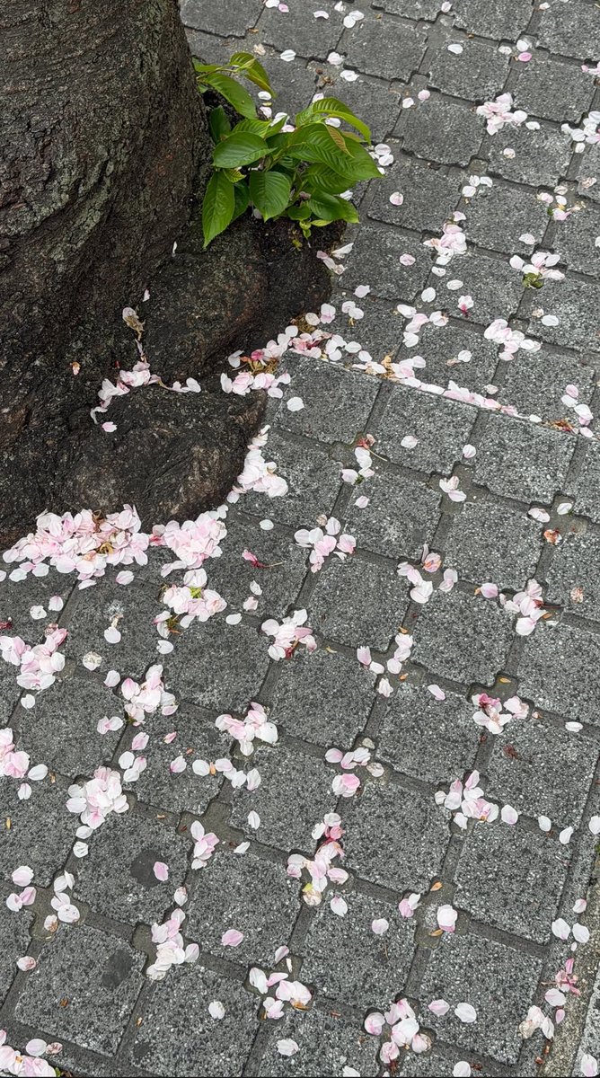 FirstKhaotung 🇵🇹 Fanbase tweet media