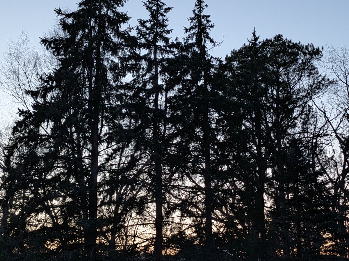 im only able to truly appreciate the beauty of nature if im 4 beers deep