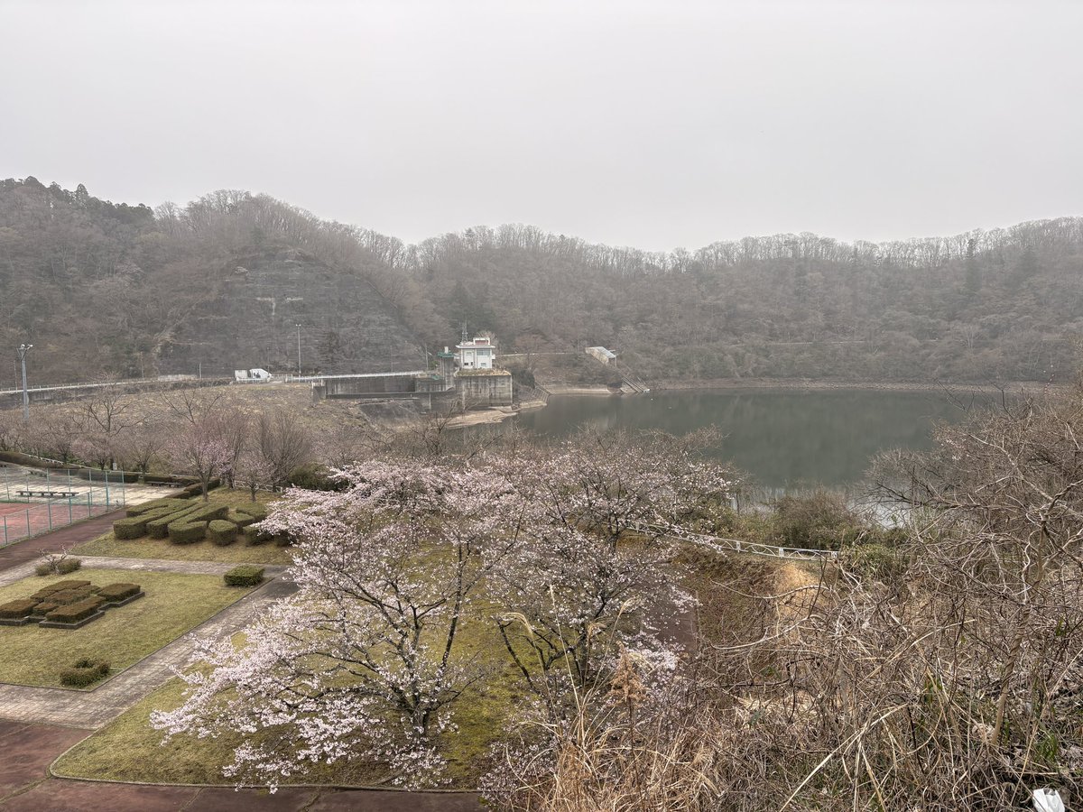 🌕moonwoolf🐺 tweet media