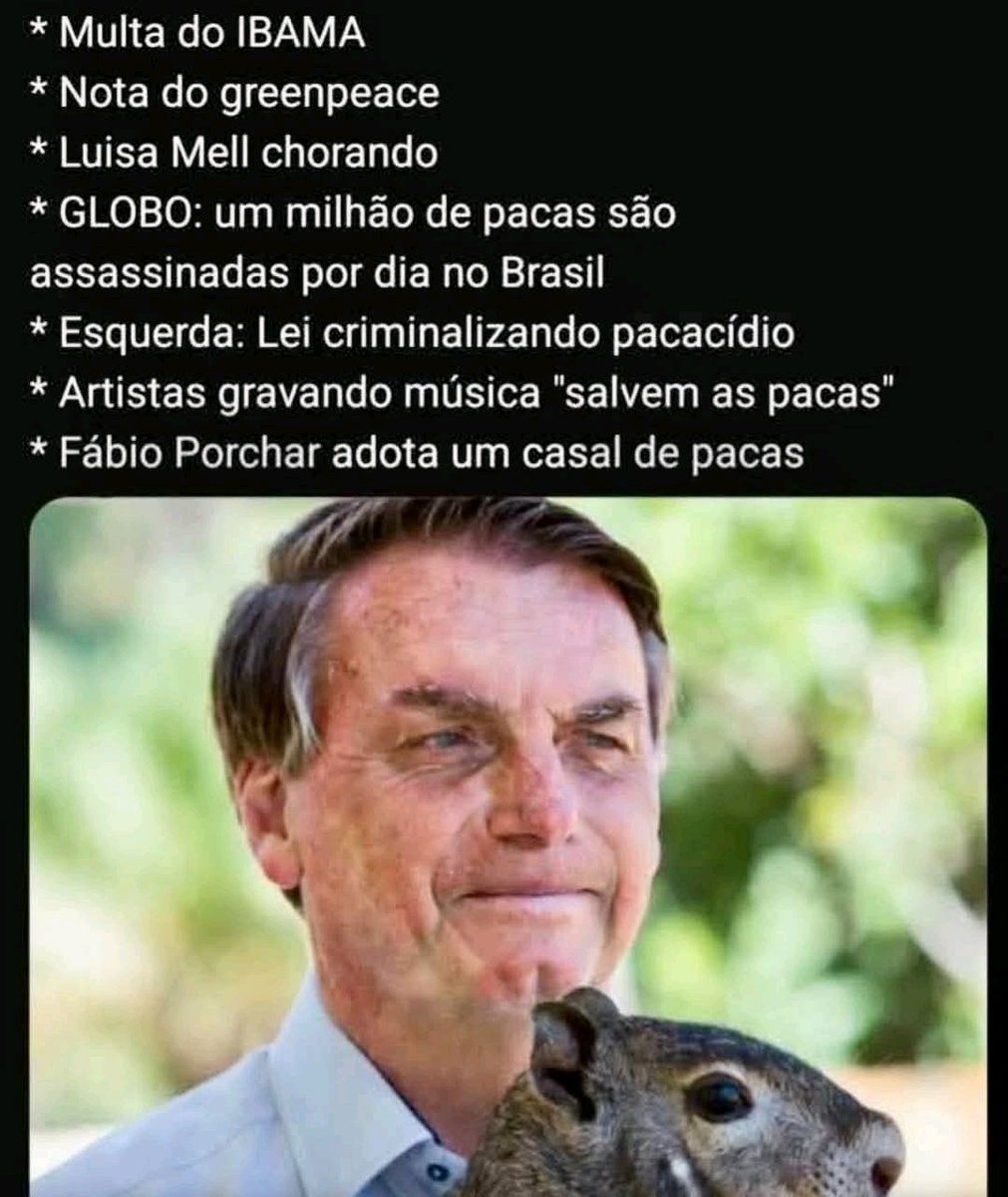 Jhosel wall tweet media