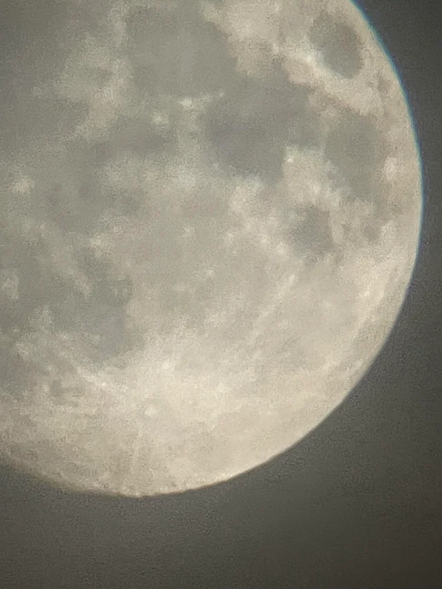 All day Astronomy tweet media