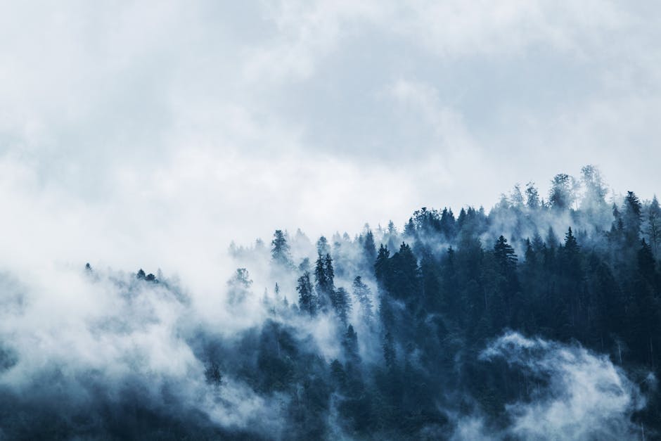 Dwayne Holt tweet media