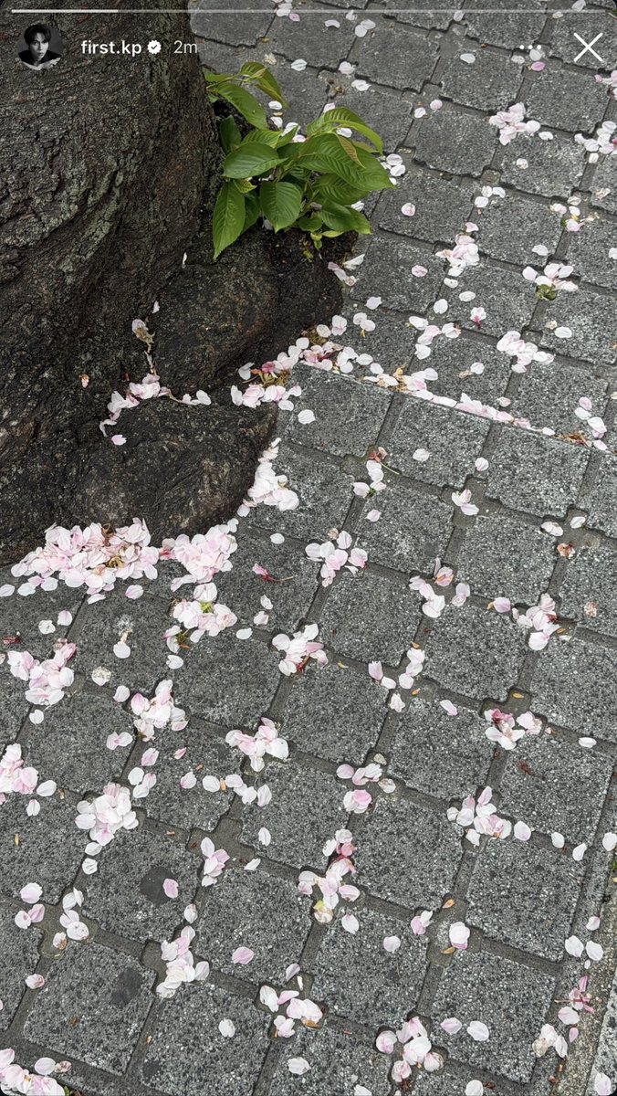 🧡🤍FKjikook2🌙☀️ tweet media