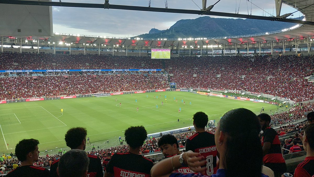 luiza sensei tweet media