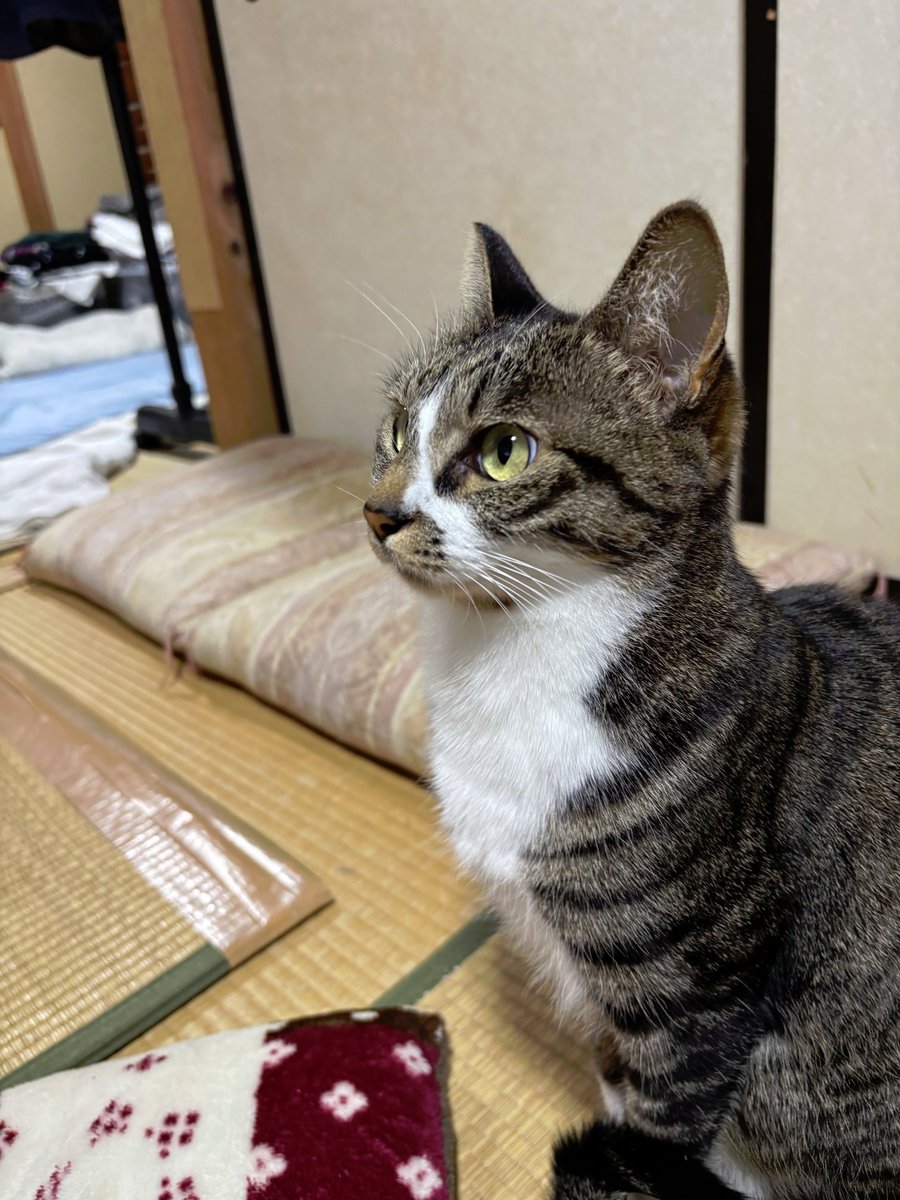 そうねん tweet media