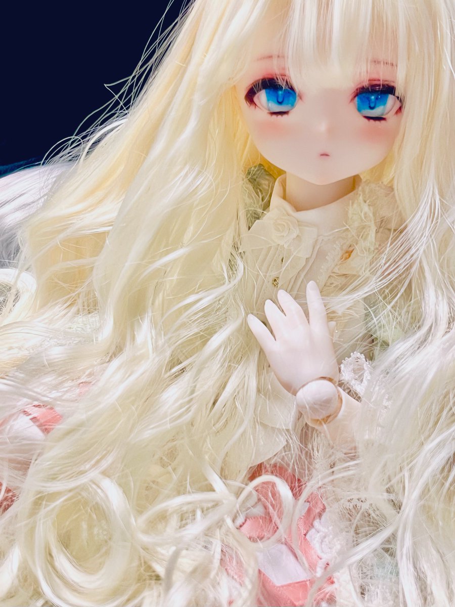 フィカド tweet media