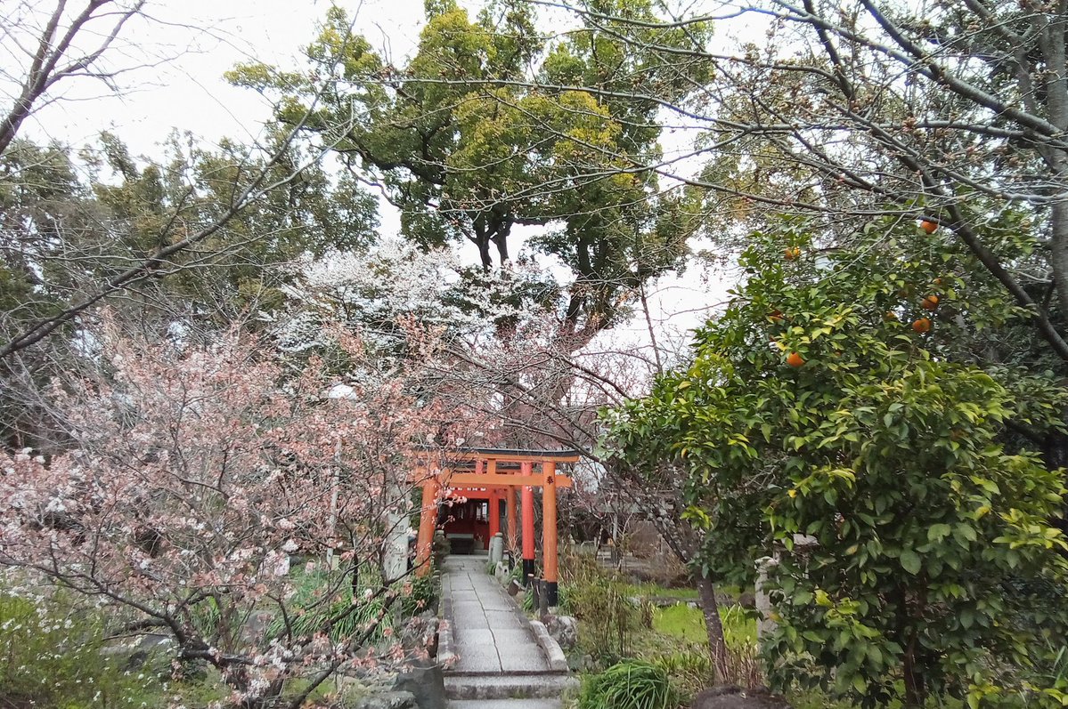 るびぃ💙 tweet media