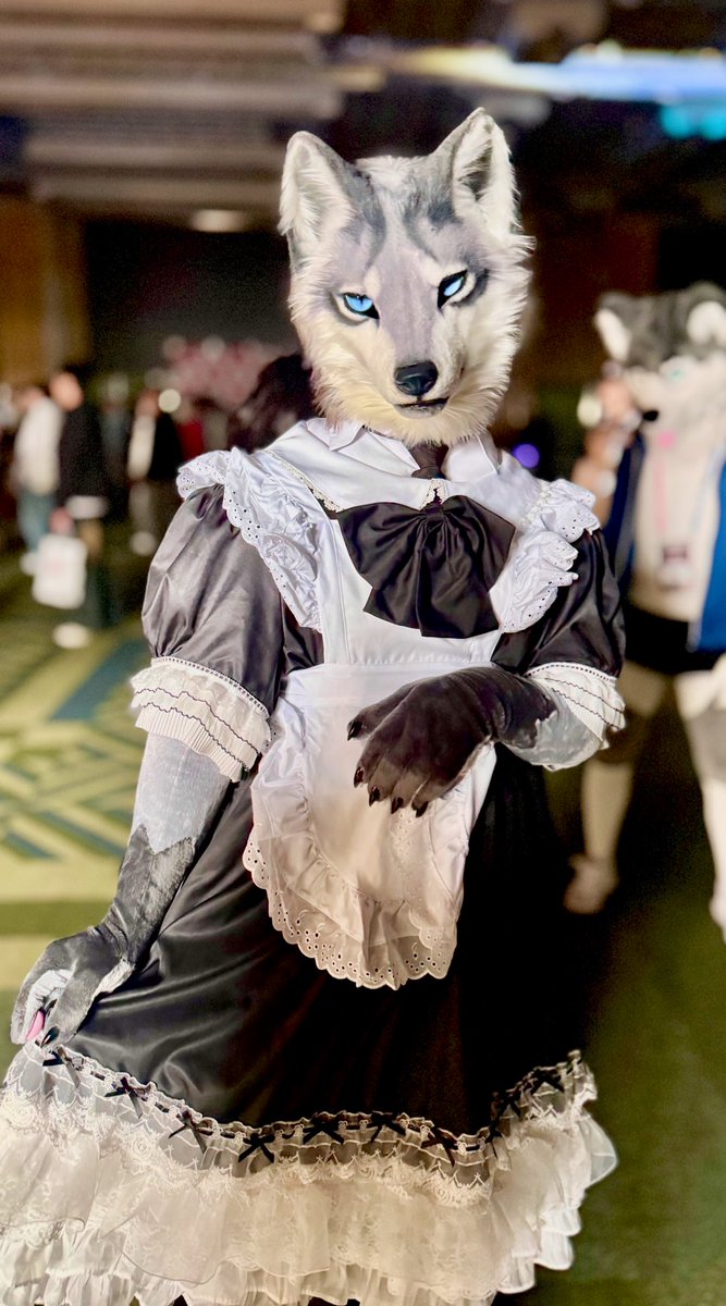 셰인 Shane 🔜 FURSTCLASS tweet media