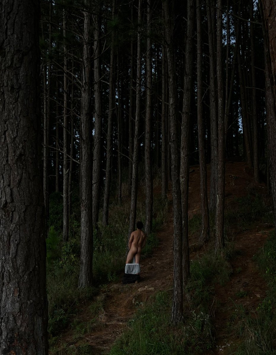 joão oceano tweet media