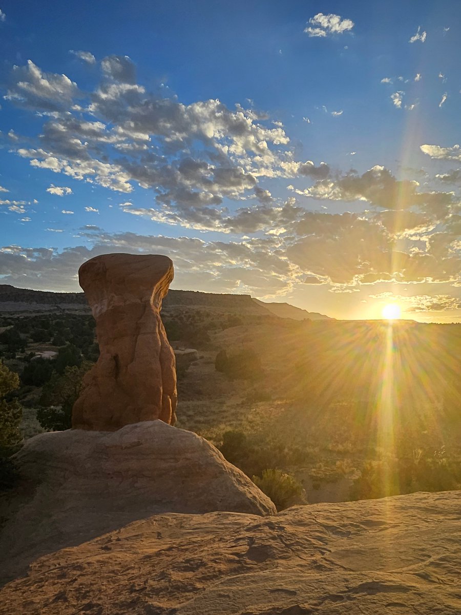 Mr. Fam | לִמֻּדַי tweet media