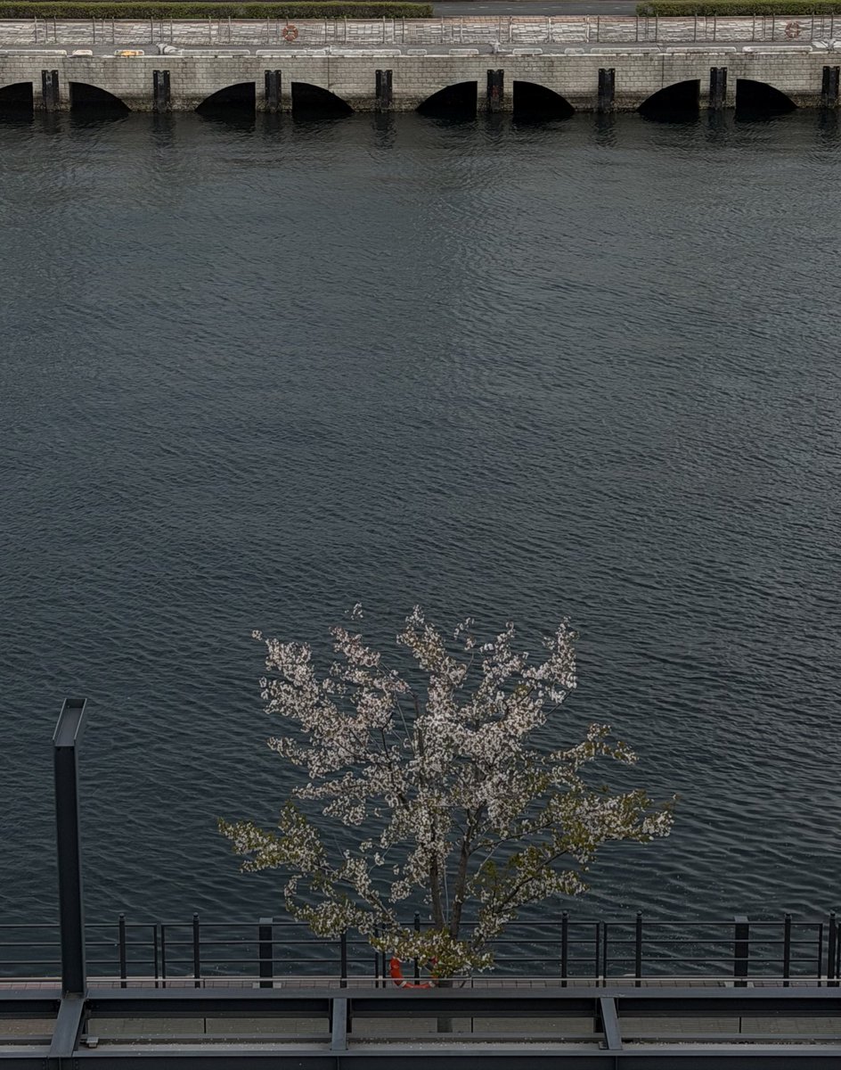 m a r o (@roon__763__) on Twitter photo 