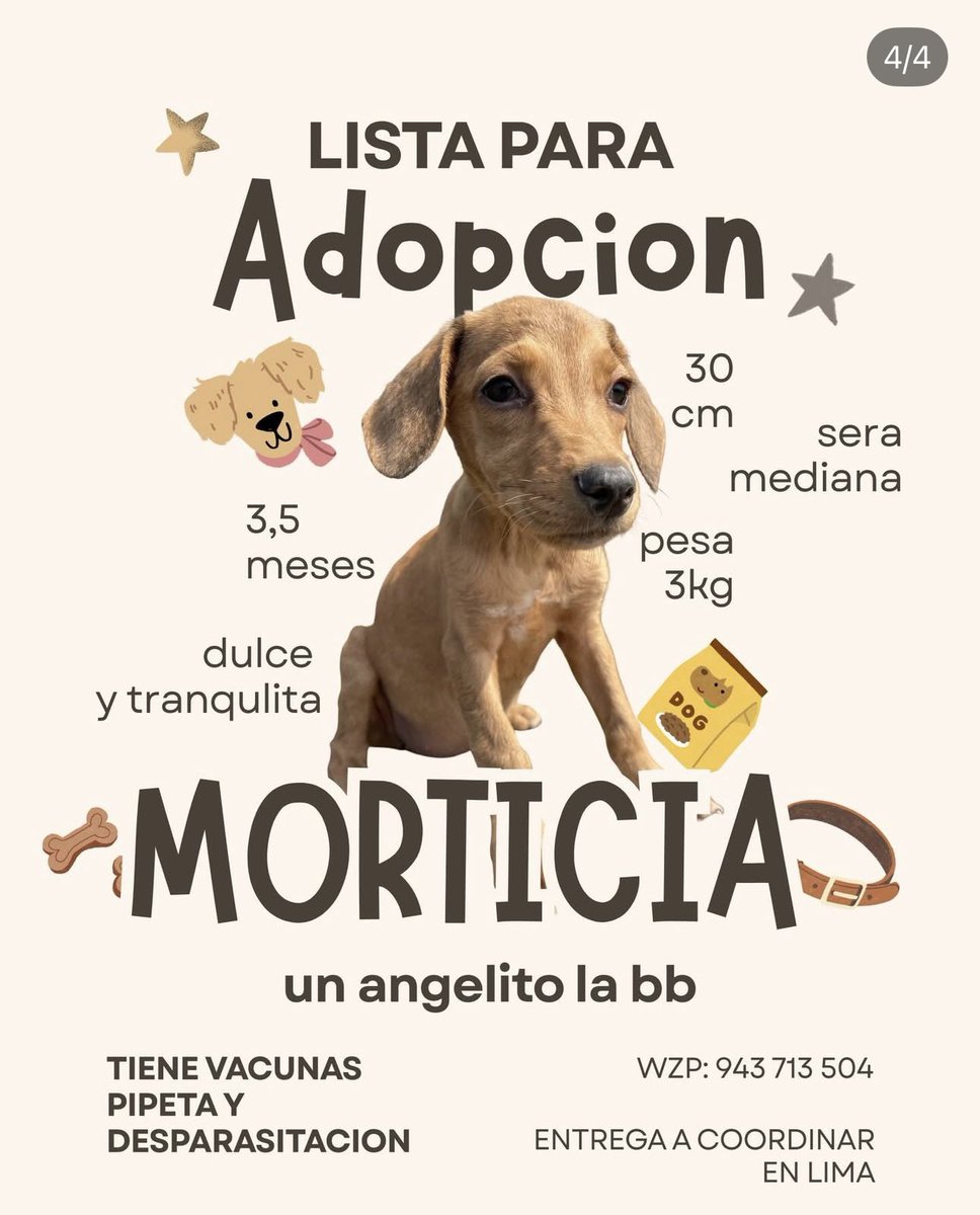 Mía Nauca tweet media