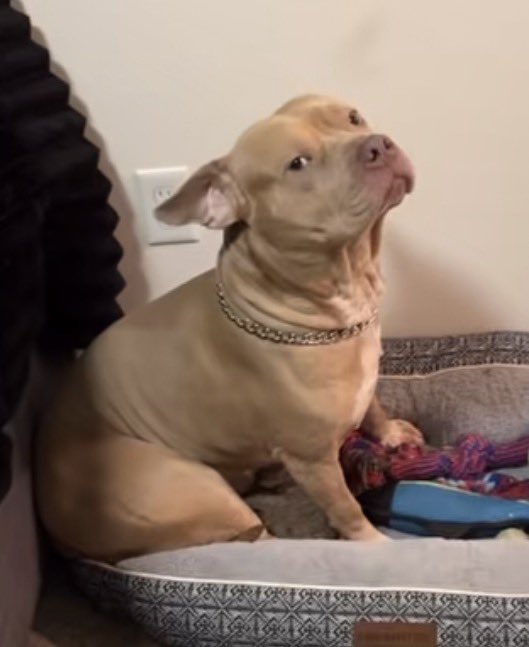 TecciPunch tweet media