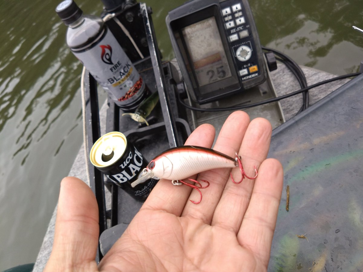 紅茶🐍 tweet media