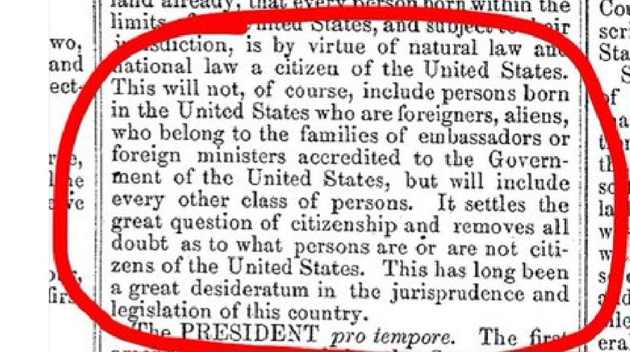 Trish McEwen tweet media